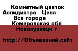 Комнатный цветок Аспидистра › Цена ­ 150 - Все города  »    . Кемеровская обл.,Новокузнецк г.